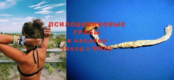 а пвп мука Армянск
