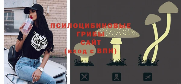 СК Арсеньев