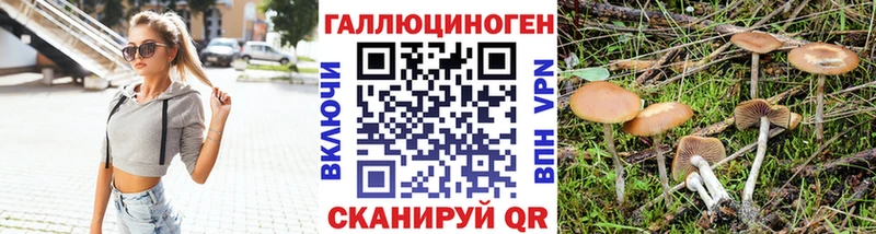Галлюциногенные грибы прущие грибы  мориарти наркотические препараты  Островной 